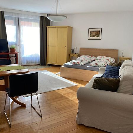 Apartment Grazbachgasse - Gratis Tiefgaragenplatz 외부 사진